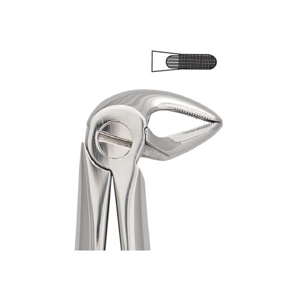 Tooth Forceps Englisth Pattern Fig. 33