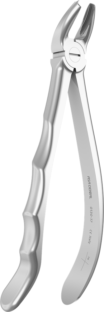 OK-Molaren rechts - 17 ± 0.1 cm - mit geriffelten Spitzen 0130-17