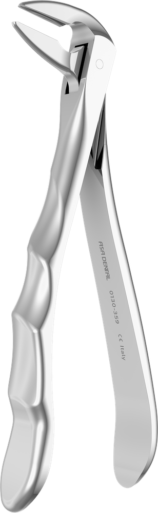UK-Wurzel - 15,8 cm - mit geriffelten Spitzen 0130-359