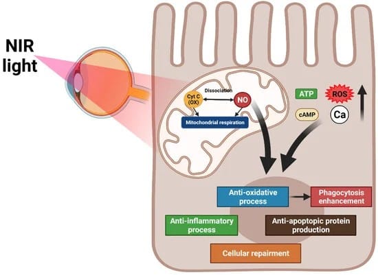 FUSION Photobiomodulation (PBM) Licht