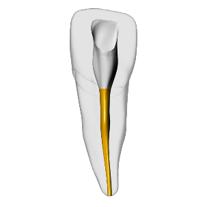 Incisor – Gutta percha, White – DRSK Group AB, Papierspitzen