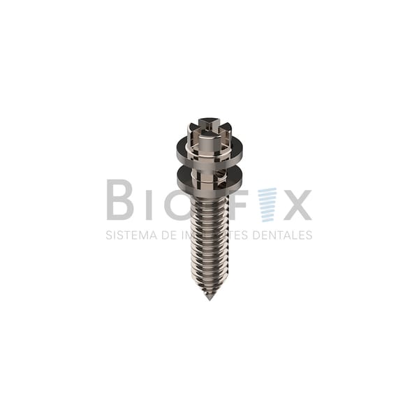 Orthodontische Mikroimplantate