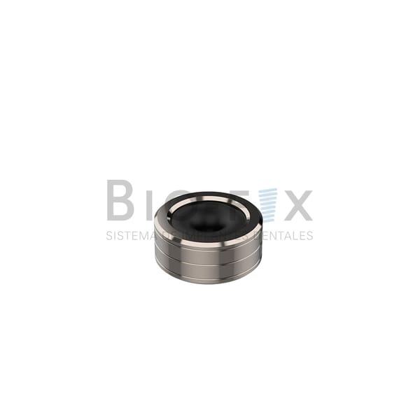 Schale und O-Ring