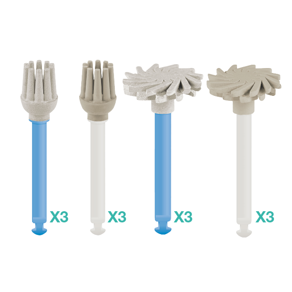 Polish HD assorted polishers (3 Brush + 3 Twist) – ITENA Clinical, Polierer