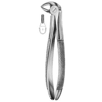 Extracting Forceps – KT Surgico, Extraktionszangen