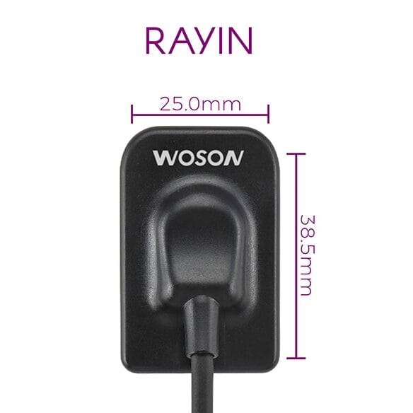 Rayin Sensoren